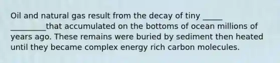 Oil and natural gas result from the decay of tiny _____ _________that accumulated on the bottoms of ocean millions of years ago. These remains were buried by sediment then heated until they became complex energy rich carbon molecules.