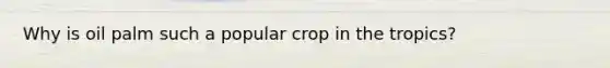 Why is oil palm such a popular crop in the tropics?