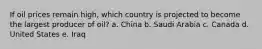 If oil prices remain high, which country is projected to become the largest producer of oil? a. China b. Saudi Arabia c. Canada d. United States e. Iraq