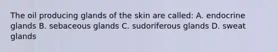 The oil producing glands of the skin are called: A. endocrine glands B. sebaceous glands C. sudoriferous glands D. sweat glands