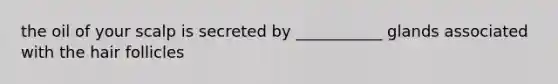 the oil of your scalp is secreted by ___________ glands associated with the hair follicles