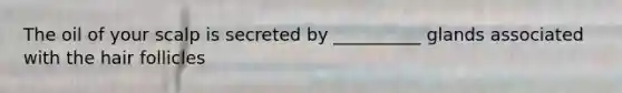 The oil of your scalp is secreted by __________ glands associated with the hair follicles