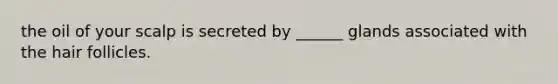 the oil of your scalp is secreted by ______ glands associated with the hair follicles.