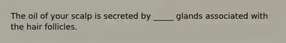 The oil of your scalp is secreted by _____ glands associated with the hair follicles.
