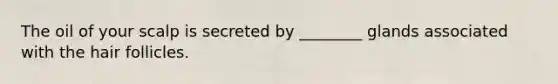 The oil of your scalp is secreted by ________ glands associated with the hair follicles.