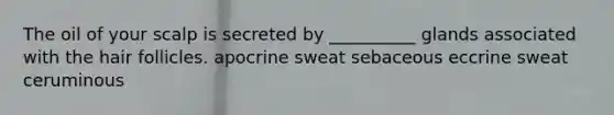 The oil of your scalp is secreted by __________ glands associated with the hair follicles. apocrine sweat sebaceous eccrine sweat ceruminous