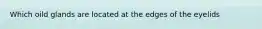 Which oild glands are located at the edges of the eyelids