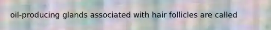 oil-producing glands associated with hair follicles are called