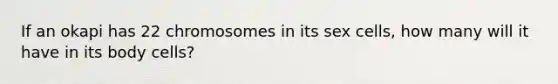 If an okapi has 22 chromosomes in its sex cells, how many will it have in its body cells?