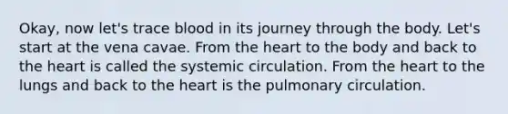 Okay, now let's trace blood in its journey through the body. Let's start at the vena cavae. From <a href='https://www.questionai.com/knowledge/kya8ocqc6o-the-heart' class='anchor-knowledge'>the heart</a> to the body and back to the heart is called the systemic circulation. From the heart to the lungs and back to the heart is the pulmonary circulation.