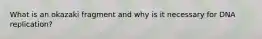 What is an okazaki fragment and why is it necessary for DNA replication?
