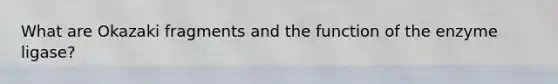 What are Okazaki fragments and the function of the enzyme ligase?