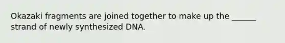 Okazaki fragments are joined together to make up the ______ strand of newly synthesized DNA.