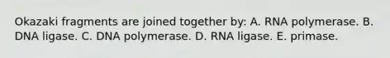 Okazaki fragments are joined together by: A. RNA polymerase. B. DNA ligase. C. DNA polymerase. D. RNA ligase. E. primase.