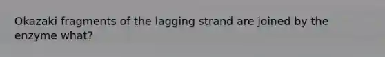 Okazaki fragments of the lagging strand are joined by the enzyme what?