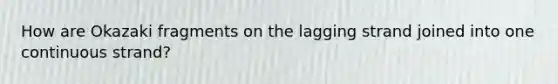How are Okazaki fragments on the lagging strand joined into one continuous strand?