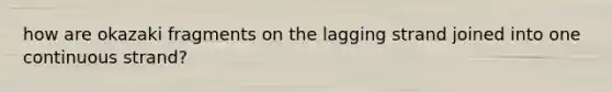 how are okazaki fragments on the lagging strand joined into one continuous strand?