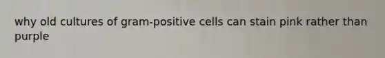 why old cultures of gram-positive cells can stain pink rather than purple