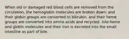 When old or damaged red blood cells are removed from the circulation, the hemoglobin molecules are broken down: and their globin groups are converted to bilirubin. and their heme groups are converted into amino acids and recycled. into heme and globin molecules and their iron is excreted into the small intestine as part of bile.