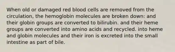 When old or damaged red blood cells are removed from the circulation, the hemoglobin molecules are broken down: and their globin groups are converted to bilirubin. and their heme groups are converted into <a href='https://www.questionai.com/knowledge/k9gb720LCl-amino-acids' class='anchor-knowledge'>amino acids</a> and recycled. into heme and globin molecules and their iron is excreted into <a href='https://www.questionai.com/knowledge/kt623fh5xn-the-small-intestine' class='anchor-knowledge'>the small intestine</a> as part of bile.