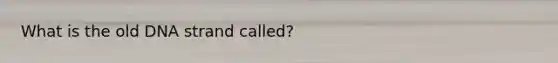 What is the old DNA strand called?