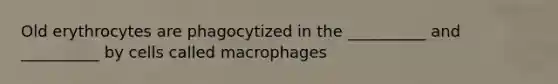 Old erythrocytes are phagocytized in the __________ and __________ by cells called macrophages