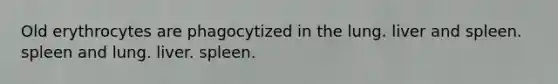 Old erythrocytes are phagocytized in the lung. liver and spleen. spleen and lung. liver. spleen.