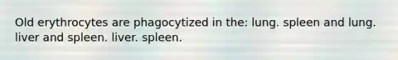 Old erythrocytes are phagocytized in the: lung. spleen and lung. liver and spleen. liver. spleen.
