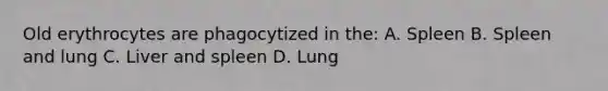 Old erythrocytes are phagocytized in the: A. Spleen B. Spleen and lung C. Liver and spleen D. Lung