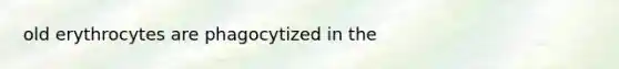 old erythrocytes are phagocytized in the