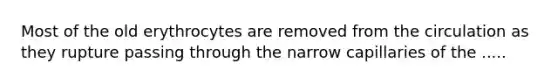 Most of the old erythrocytes are removed from the circulation as they rupture passing through the narrow capillaries of the .....