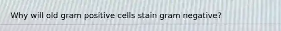 Why will old gram positive cells stain gram negative?