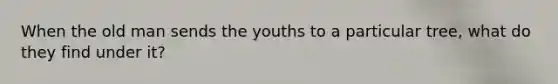 When the old man sends the youths to a particular tree, what do they find under it? ​
