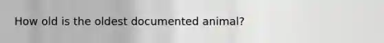 How old is the oldest documented animal?