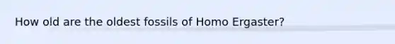 How old are the oldest fossils of Homo Ergaster?