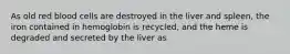 As old red blood cells are destroyed in the liver and spleen, the iron contained in hemoglobin is recycled, and the heme is degraded and secreted by the liver as