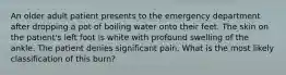 An older adult patient presents to the emergency department after dropping a pot of boiling water onto their feet. The skin on the patient's left foot is white with profound swelling of the ankle. The patient denies significant pain. What is the most likely classification of this burn?