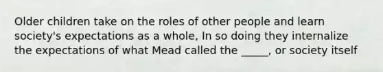 Older children take on the roles of other people and learn society's expectations as a whole, In so doing they internalize the expectations of what Mead called the _____, or society itself