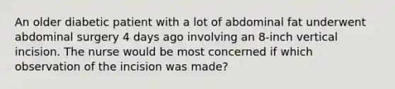 An older diabetic patient with a lot of abdominal fat underwent abdominal surgery 4 days ago involving an 8-inch vertical incision. The nurse would be most concerned if which observation of the incision was made?