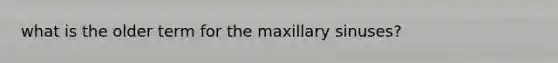 what is the older term for the maxillary sinuses?