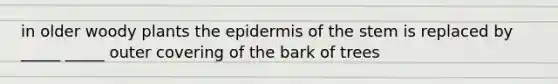 in older woody plants the epidermis of the stem is replaced by _____ _____ outer covering of the bark of trees