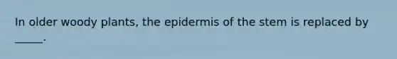 In older woody plants, the epidermis of the stem is replaced by _____.