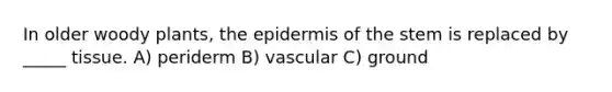 In older woody plants, <a href='https://www.questionai.com/knowledge/kBFgQMpq6s-the-epidermis' class='anchor-knowledge'>the epidermis</a> of the stem is replaced by _____ tissue. A) periderm B) vascular C) ground