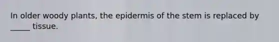 In older woody plants, <a href='https://www.questionai.com/knowledge/kBFgQMpq6s-the-epidermis' class='anchor-knowledge'>the epidermis</a> of the stem is replaced by _____ tissue.