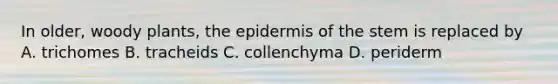 In older, woody plants, <a href='https://www.questionai.com/knowledge/kBFgQMpq6s-the-epidermis' class='anchor-knowledge'>the epidermis</a> of the stem is replaced by A. trichomes B. tracheids C. collenchyma D. periderm