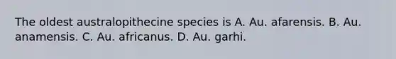 The oldest australopithecine species is A. Au. afarensis. B. Au. anamensis. C. Au. africanus. D. Au. garhi.