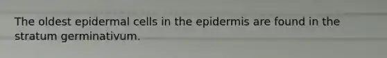 The oldest epidermal cells in <a href='https://www.questionai.com/knowledge/kBFgQMpq6s-the-epidermis' class='anchor-knowledge'>the epidermis</a> are found in the stratum germinativum.