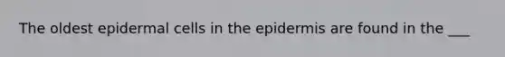 The oldest epidermal cells in the epidermis are found in the ___