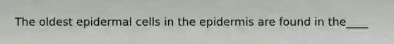 The oldest epidermal cells in the epidermis are found in the____