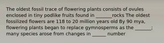 The oldest fossil trace of flowering plants consists of ovules enclosed in tiny podlike fruits found in _______rocks The oldest fossilized flowers are 118 to 20 million years old By 90 mya, flowering plants began to replace gymnosperms as the _______; many species arose from changes in ______ number